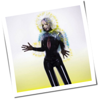 Björk - Vulnicura