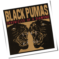 Black Pumas - Chronicles Of A Diamond