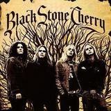 Black Stone Cherry - Black Stone Cherry Artwork