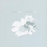 Bright Eyes - Digital Ash In A Digital Urn Artwork