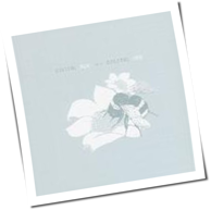 Bright Eyes - Digital Ash In A Digital Urn