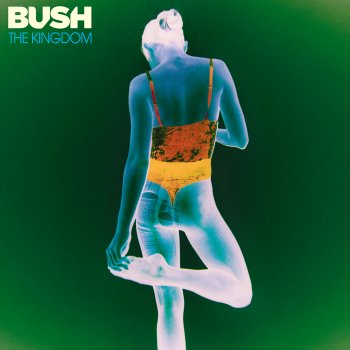 Bush - The Kingdom Artwork