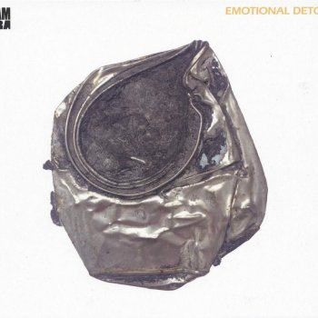 Camera - Emotional Detox Artwork