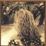 Cassandra Wilson - Belly Of The Sun Artwork