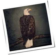 Clutch - Book Of Bad Decisions