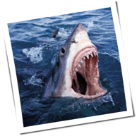 Conway The Machine & The Alchemist - Lulu