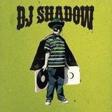 DJ Shadow - The Outsider Artwork