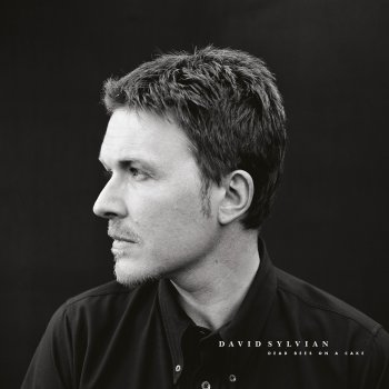 David Sylvian - Dead Bees On A Cake Artwork