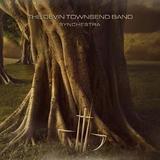 Devin Townsend - Synchestra Artwork