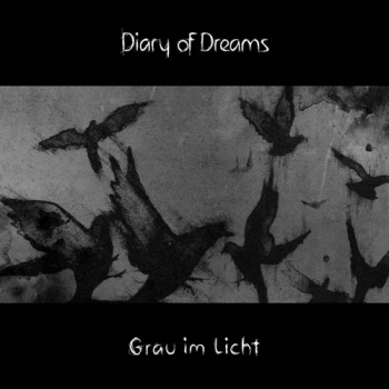 Diary Of Dreams - Grau Im Licht Artwork