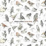 Edwyn Collins - Losing Sleep Artwork