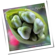 Fiona Apple - Extraordinary Machine