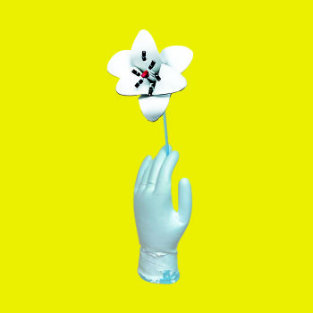 Florian Paul & Die Kapelle Der Letzten Hoffnung - Auf Sand Gebaut Artwork