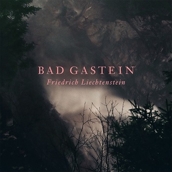 Friedrich Liechtenstein - Bad Gastein Artwork