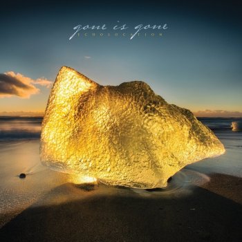 Gone is Gone - Echolocation Artwork