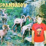Grandaddy - Below The Radio Artwork