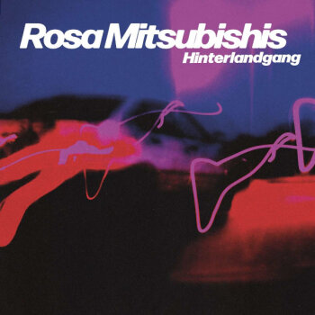 Hinterlandgang - Rosa Mitsubishis Artwork