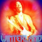 Jimi Hendrix - Winterland Artwork