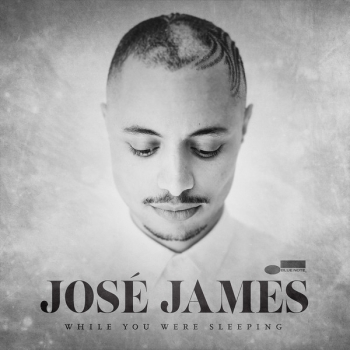 José James - While You Were Sleeping Artwork