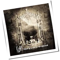 Korn - Take A Look In The Mirror