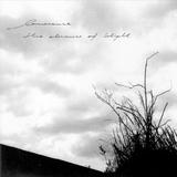 Lawrence - The Absence Of Blight Artwork