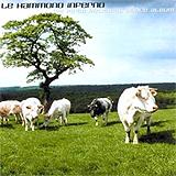 Le Hammond Inferno - My First Political Dance Album Artwork