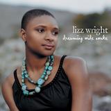 Lizz Wright - Dreaming Wide Awake Artwork