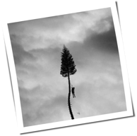 Manchester Orchestra - A Black Mile To The Surface