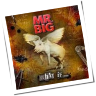 Mr. Big - What If ...