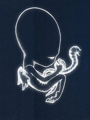 Best Of 2000: 20 Jahre, 20 Alben