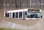 Doubletime: Di Bus Can't Swim!