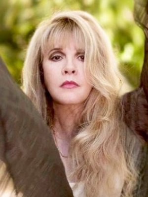 Fleetwood Mac: Stevie Nicks bietet Harry Styles TV-Rolle an