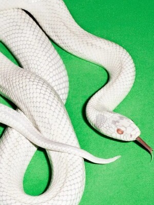 Lesercharts 2025: Eure 20 Lieblingsalben des Jahres