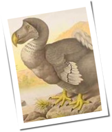 Metalsplitter: Manowar mit Dodo und einem hohlen Bein