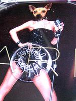 Paris Hilton: Guerilla-Künstler rippt It-Girl