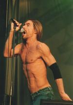 The Stooges: Lust For Live!