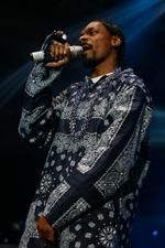 US-Waldbrände: Snoop Dogg betet um Regen