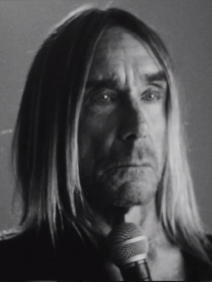Vorchecking: Iggy Pop, Anti-Flag, Daniela Alfinito