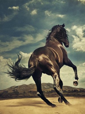 Vorchecking: Springsteen, Juju, Madonna