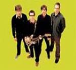 Weezer: US-Rocker sagen Festivals ab