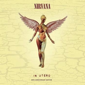 Nirvana - In Utero - 20th Anniversary Edition Artwork