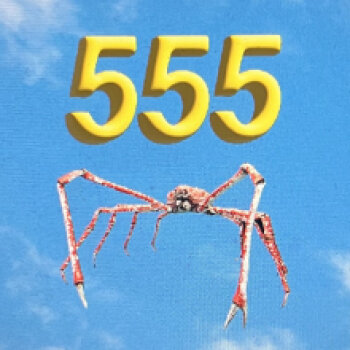 Noah Levi - 555 Artwork