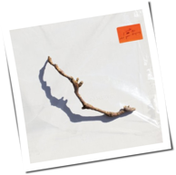 PJ Harvey - I Inside The Old Year Dying