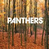 Panthers - Things Are Strange