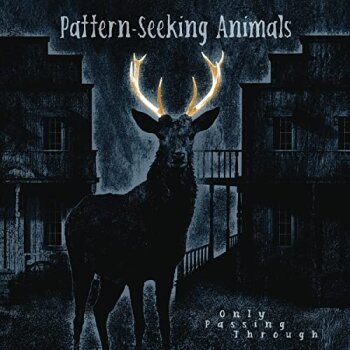 Pattern-Seeking Animals - Only Passing Through Artwork