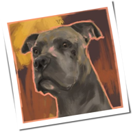 Pilz - Strassenköter