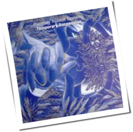 Planetary Assault Systems - Temporary Suspension