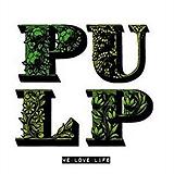 Pulp - We Love Life Artwork