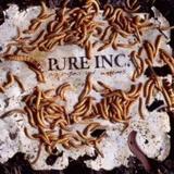 Pure Inc. - Parasites And Worms Artwork