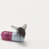 Red Hot Chili Peppers - I'm With You Artwork